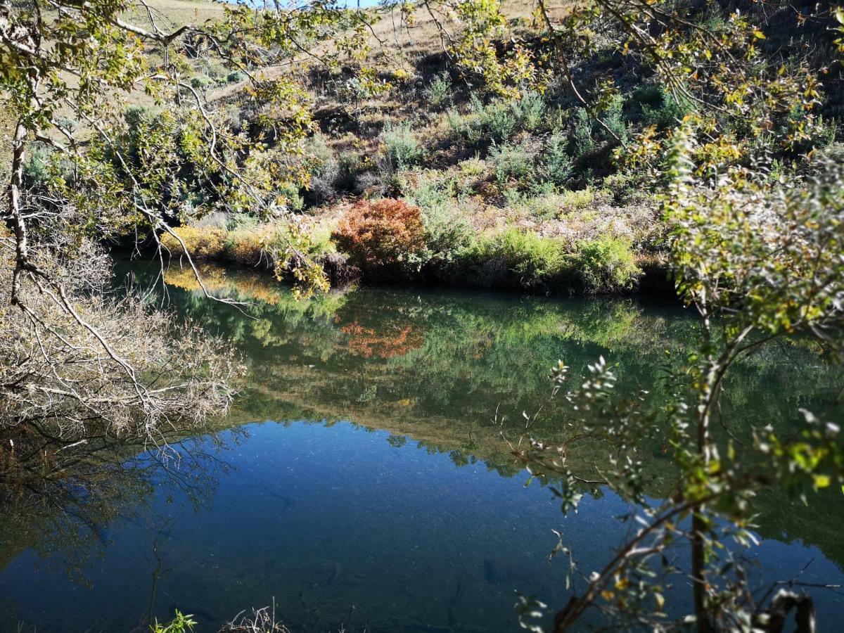 Treur River Lodge Moremela Εξωτερικό φωτογραφία